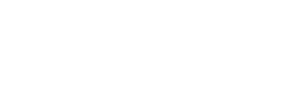 SGSE